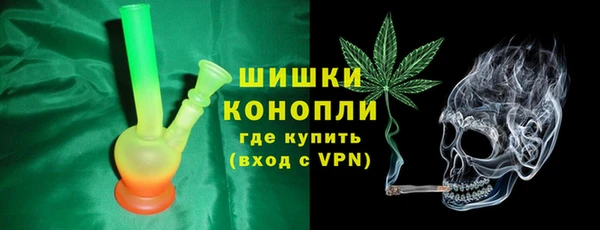 PSILOCYBIN Кодинск