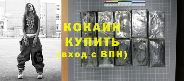 PSILOCYBIN Кодинск
