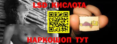 прущие грибы Кингисепп