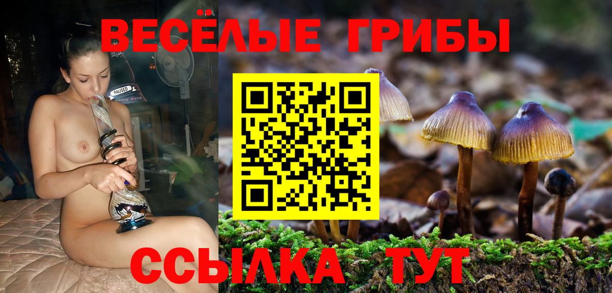Псилоцибиновые грибы прущие грибы  Вход с VPN  наркота  Урус-Мартан 