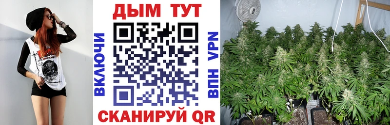 гидра рабочий сайт  Урус-Мартан  Канабис THC 21%  купить наркоту 